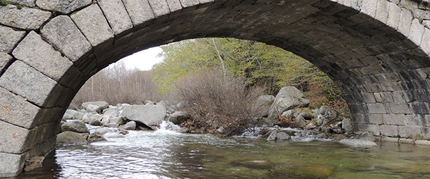 Brücke über einem Fluss. Foto:  nutthabird6 ©123RF.com