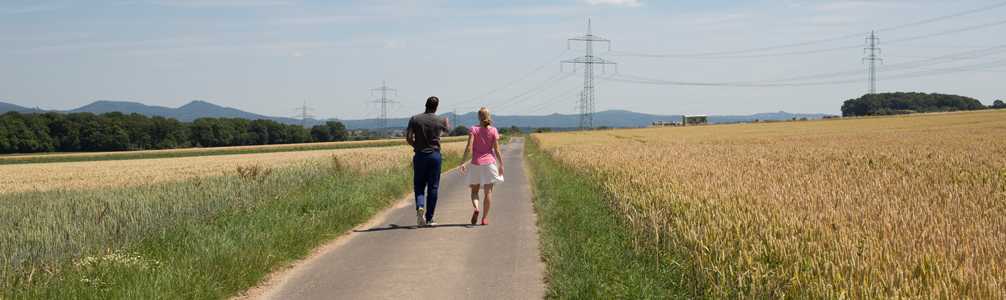 Spaziergänger in einer Landschaft mit Strommasten im Hintergrund